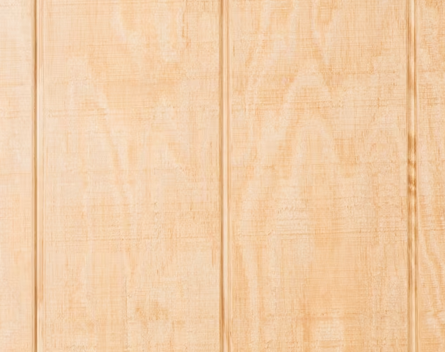 Plain T1-11 Siding